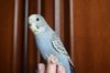 DSC_5642.JPG