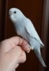 DSC_5654.JPG