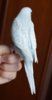 DSC_5652.JPG
