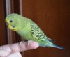 DSC_5701.JPG