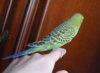 DSC_5700.JPG