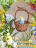 IMG-20180408-WA0002.jpg