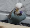 IMG_5687.JPG