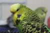 IMG_5690.JPG