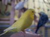 _3240058@0,25x.jpg