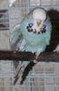 IMG_5952.JPG