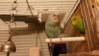 20151126_202759.jpg