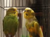 DSC04075.JPG