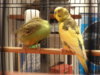 DSC04101.JPG