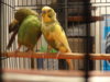 DSC04104.JPG