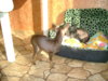 DSC01129.JPG