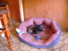DSC01297.JPG