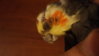 DSC08549.JPG