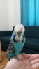 7.png