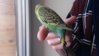 20151129_132718.jpg