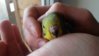 20151129_132624.jpg