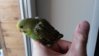 20151129_132833.jpg