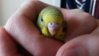 20151129_132812.jpg
