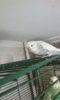 IMG-20151128-WA0053.jpeg
