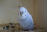 DSC09653.JPG
