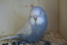 DSC09689.JPG