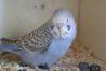 DSC09762.JPG