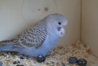 DSC09763.JPG