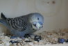 DSC09714.JPG