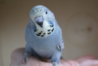 DSC09723.JPG