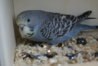 DSC09724.JPG