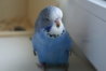 DSC09731.JPG