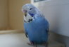 DSC09734.JPG