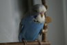 DSC09746.JPG