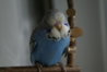 DSC09747.JPG