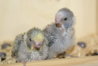 DSC09815.JPG