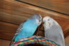 IMG_2423.JPG