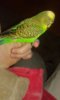 20151206_112203.jpg