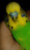 20151206_111952.jpg