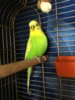 3D0E79F2-A0EC-47A3-AA9D-5C6D823E3547.jpeg