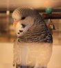 IMG_6105.JPG