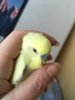 78620D0E-3CBF-46EC-A213-BB33F6091D14.jpeg