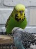 IMG_6325.JPG