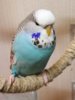 IMG_20180416_140624.jpg