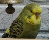 IMG_20180416_140359.jpg