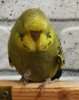 IMG_20180416_140456.jpg