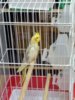 IMG_20180411_134852.jpg