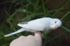 DSC_5761.JPG