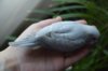 DSC_5763.JPG