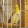 DSC_5347.PNG