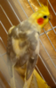 DSC_5349.png